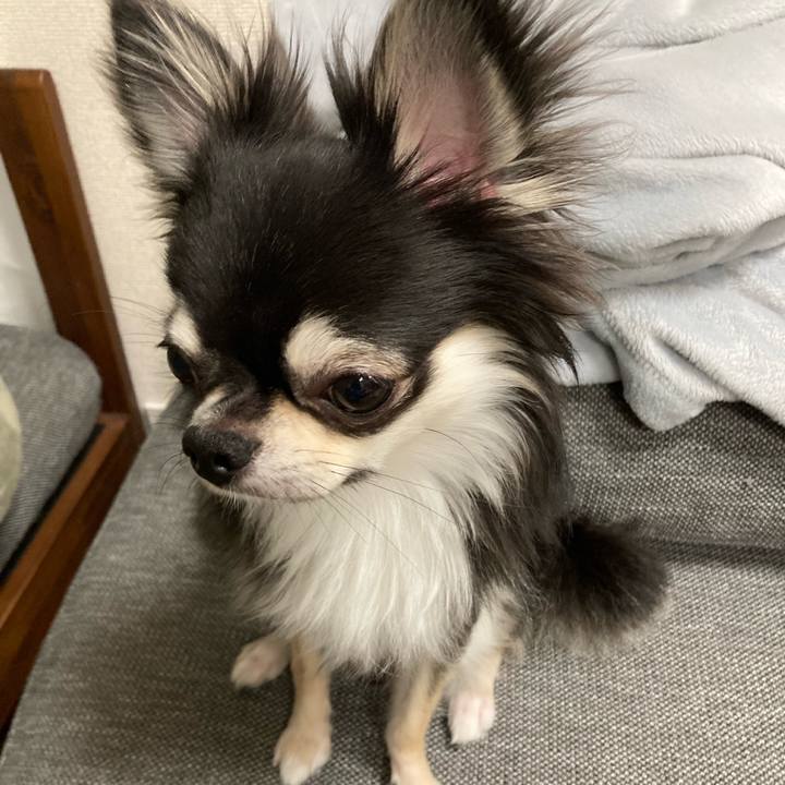 1509f103 5ccc 4fb4 b271 d6bee3420e04 1625324695500