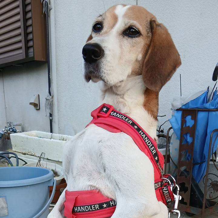 150a3c87 9339 477a a4d2 79f5686e8099 1759485255264