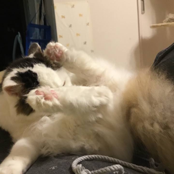 150a800a 9b91 4732 8798 6d1c394aacd2 1573370258545