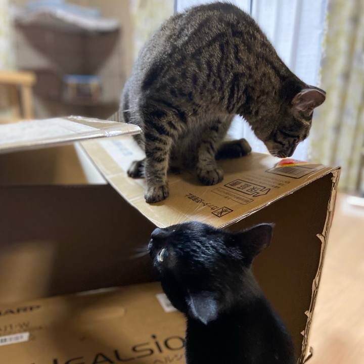 150ab46a 0a4d 4af5 826d af650534e1b2 1626954637336