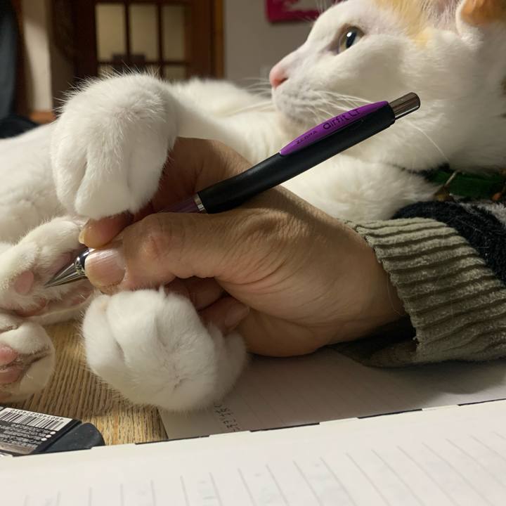 150b00e0 86c4 44f5 83eb 84b2a32dc78c 1581860627448