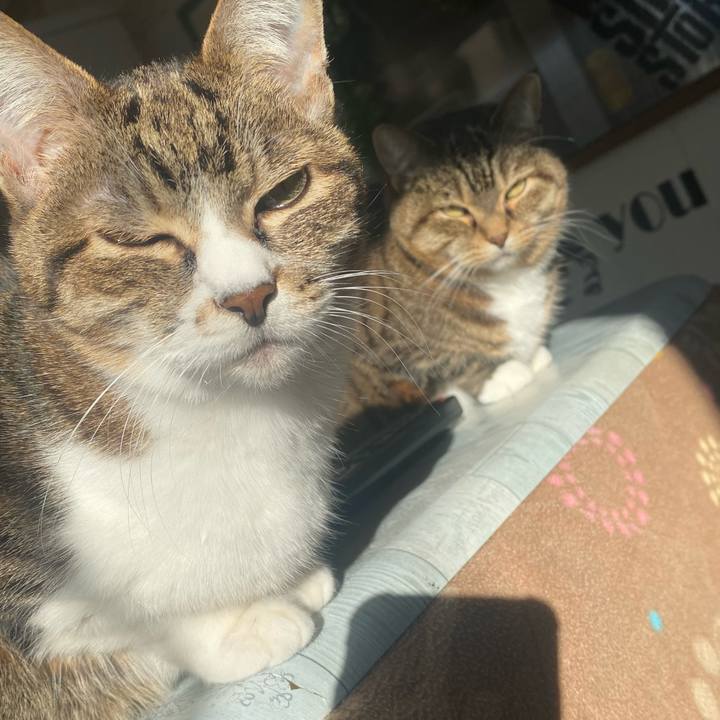 150b25e3 b779 44ff a726 168f2af4f940 1672618165057