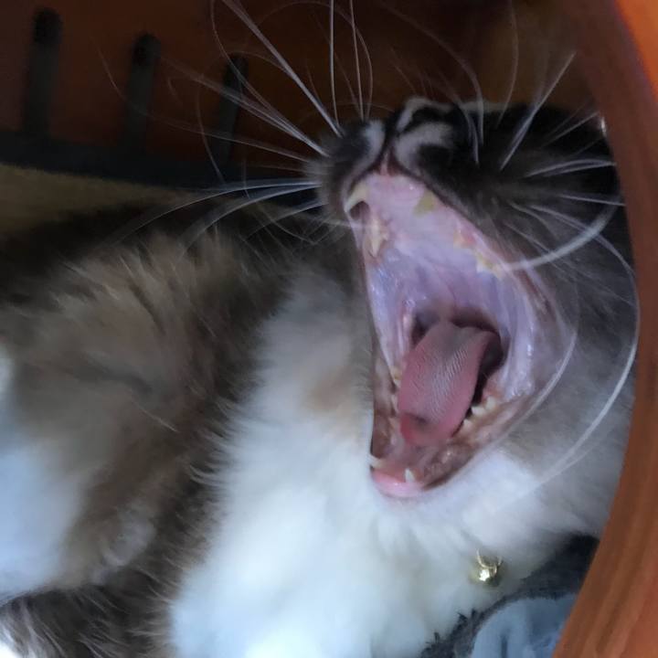 150b2adf e5cf 44b6 bebe e0a6985cdcbb 1518611932345