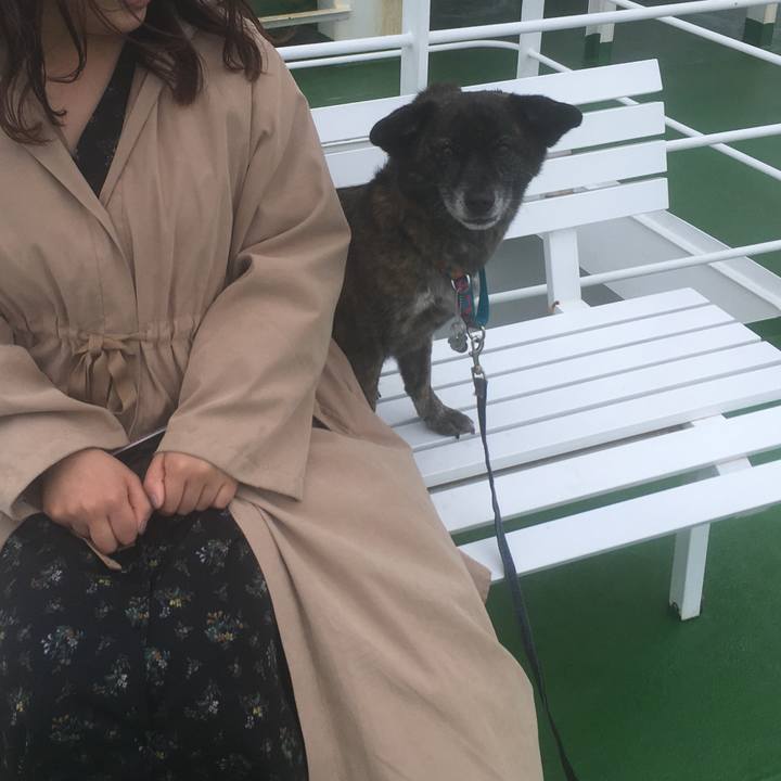 150b36f0 085e 445a 96af 9cc7ff8e3d8c 1556182635547