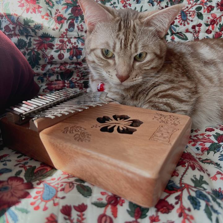 150b3e5e 8e4c 4599 89a9 e03b4dcf1c7a 1667005248508