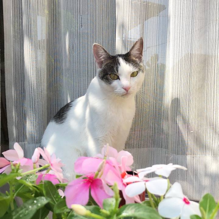 150b3ea5 e743 4034 a1c1 7dde2d8007ae 1598249411472