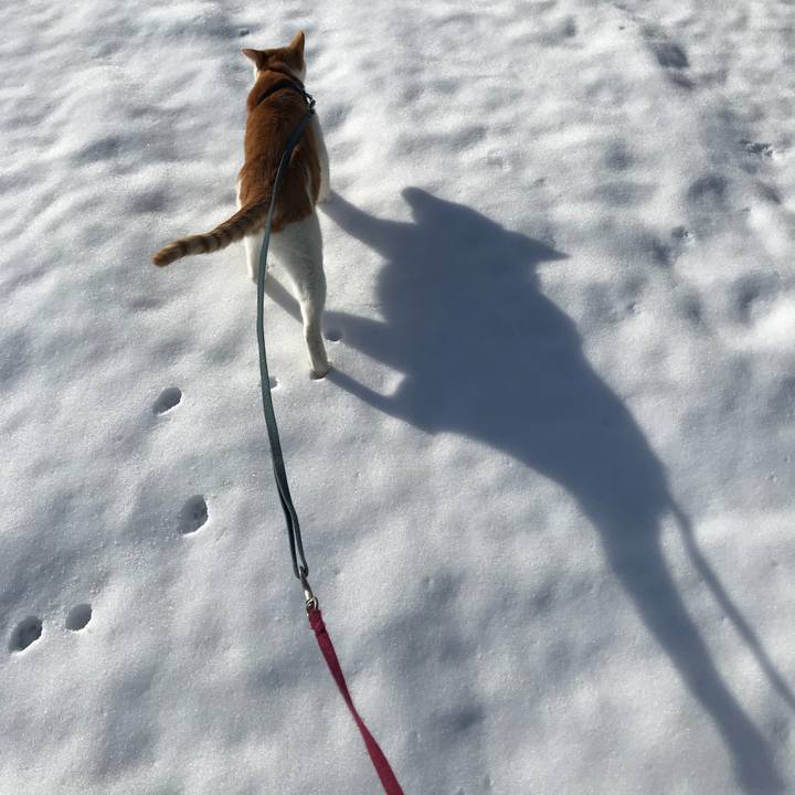 150b5bd7 fe9b 4a64 8919 6ea950eae932 1514600966659