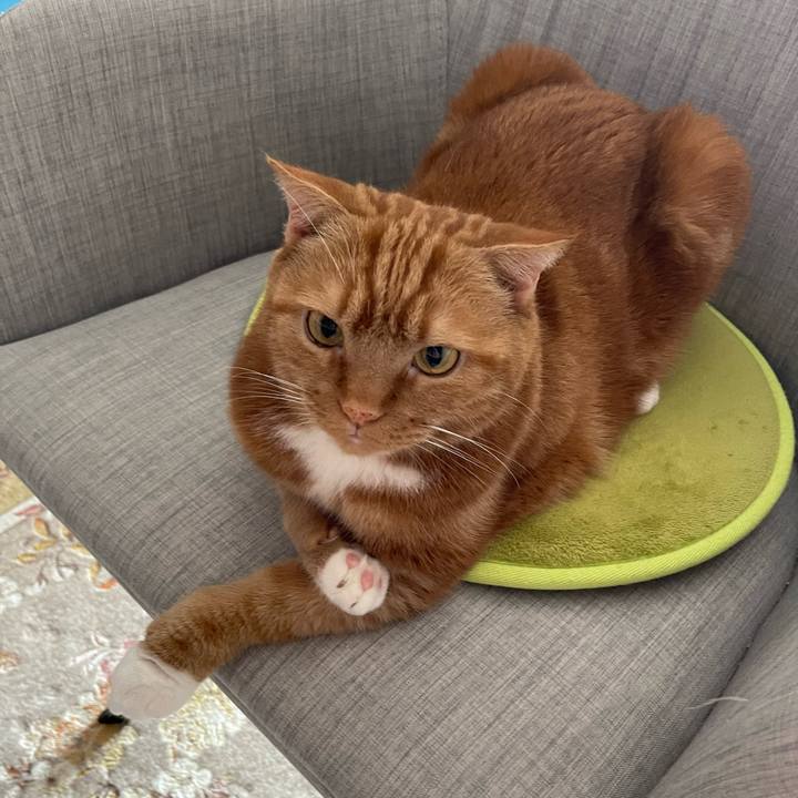 150b720c d51e 47f8 bfd1 787d3eb7e606 1683337300233