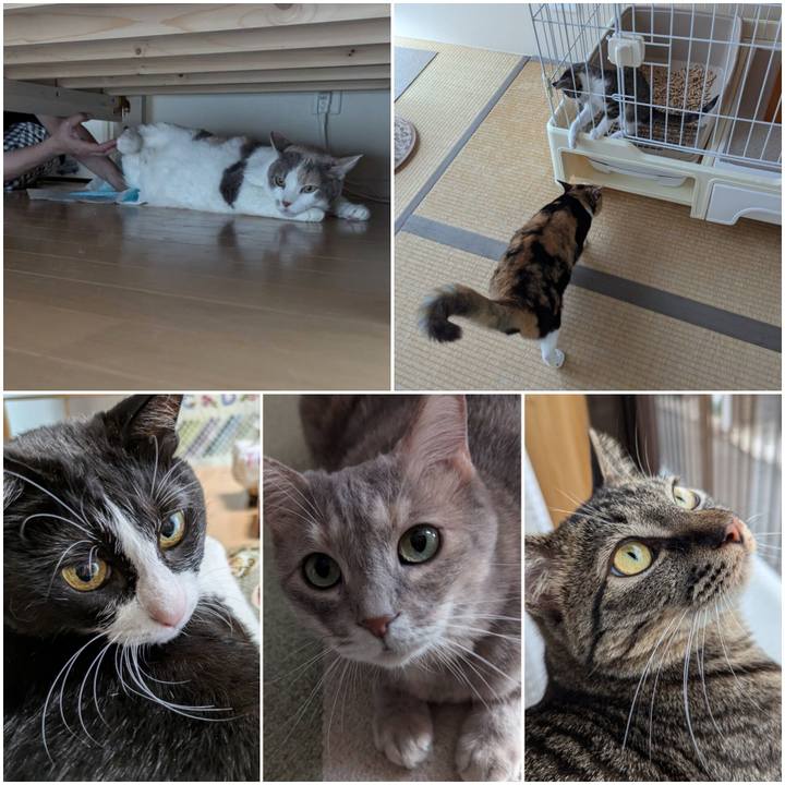 150b7fdc 0e0a 4ade 9b55 01fa5632585d 1720867668432