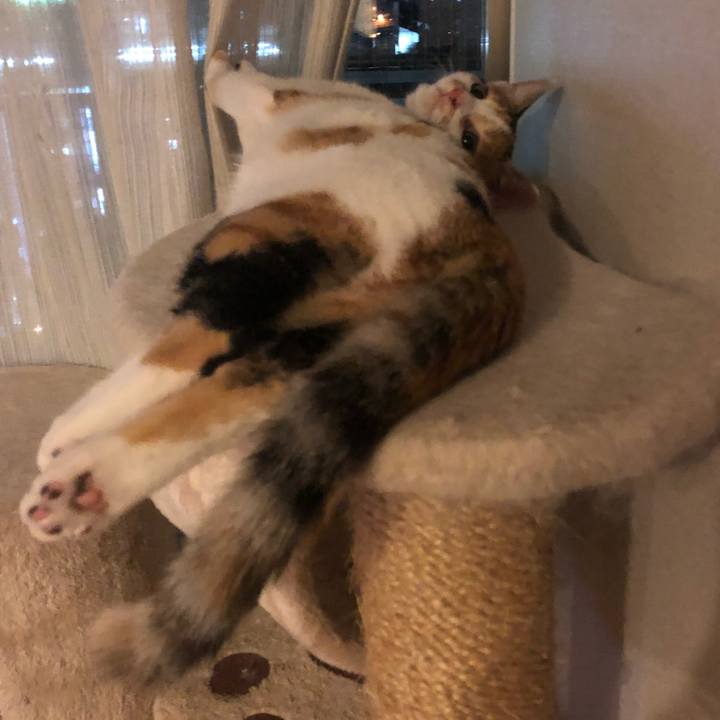 150b806a 011d 4cee 86f6 95ec3628d002 1568894692496