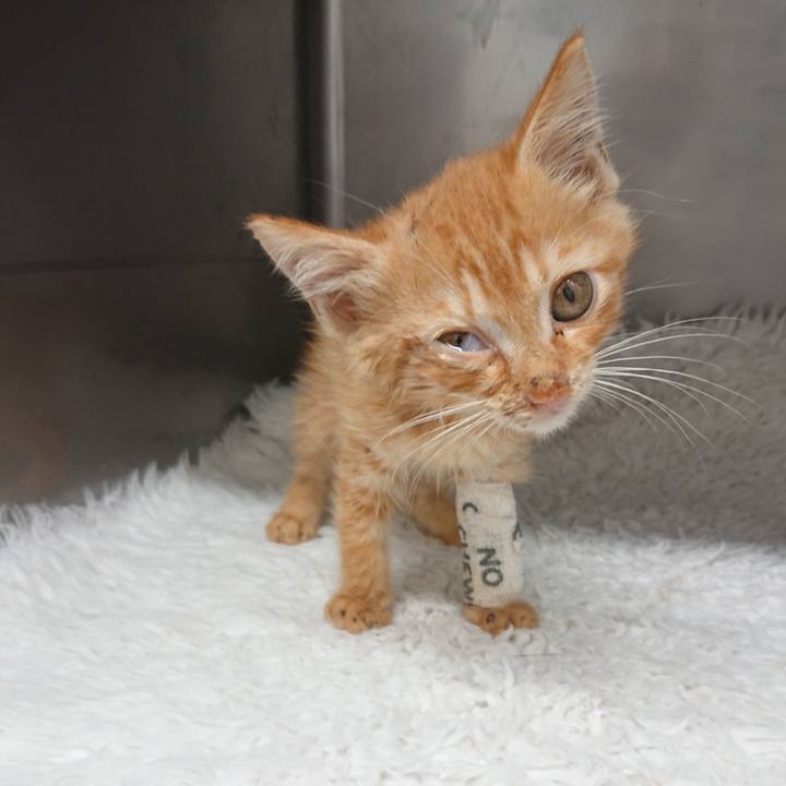 150b99cd af56 410d b830 21f2fb948cc6 1627638850160