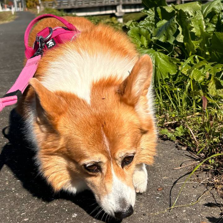 150ba595 e1e3 402c 9f96 59fc5f871478 1731986772901