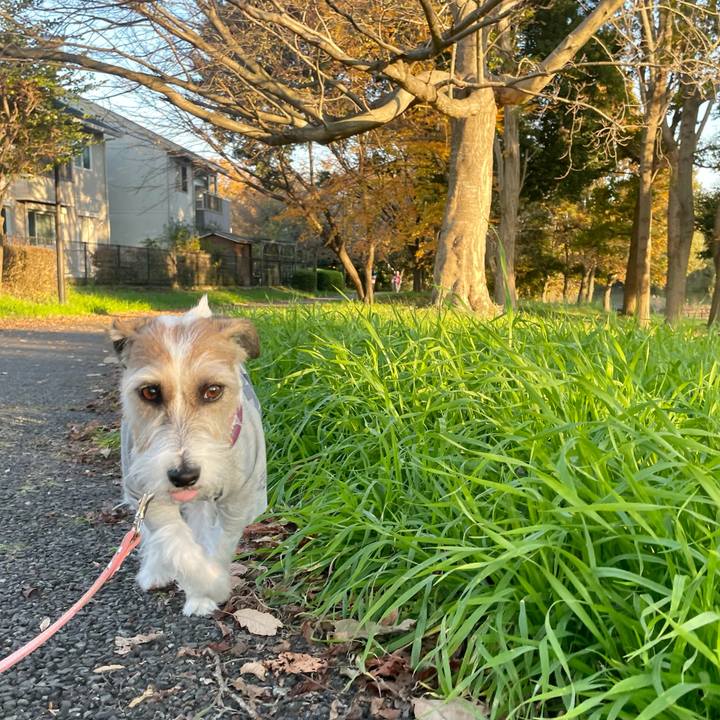 150bd29c 4dcd 4a0f a2cb a5a28196471f 1637912264779