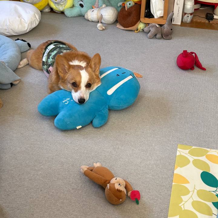 150bd685 1f74 49cb a38b 0e733cc4fabd 1771637688830