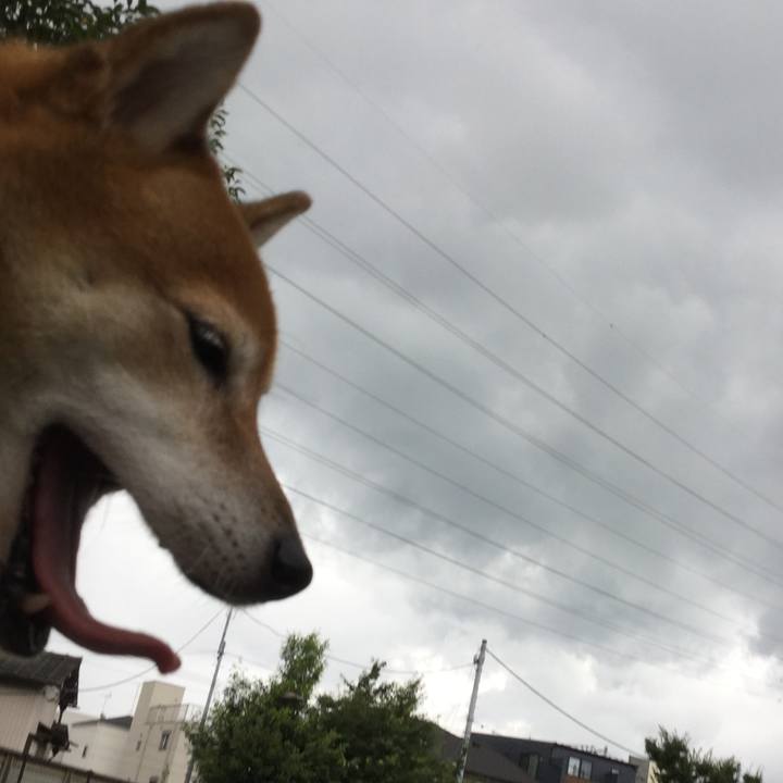 150bf9d6 d00c 4c31 b509 b1b12389b75d 1598150184557