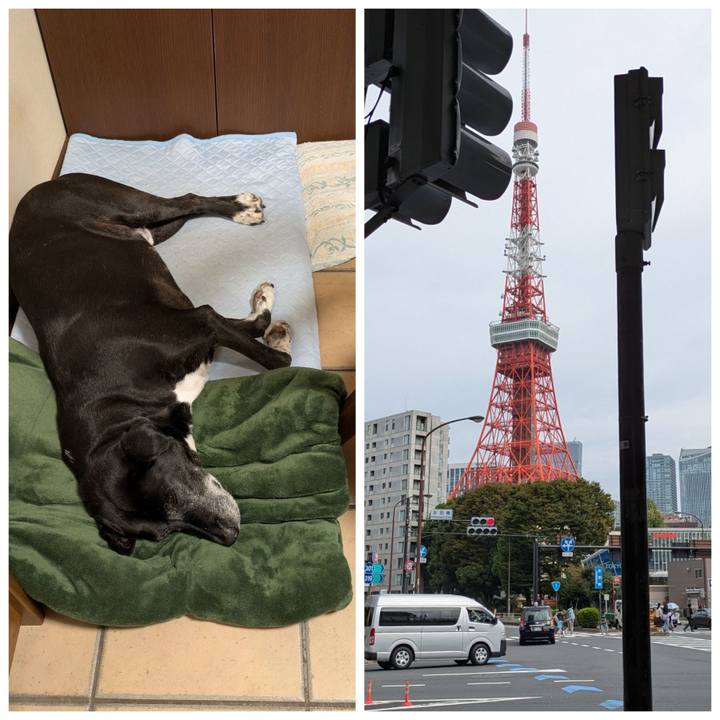 150c0bb7 55e8 4170 a335 06589b8438e4 1759570903257