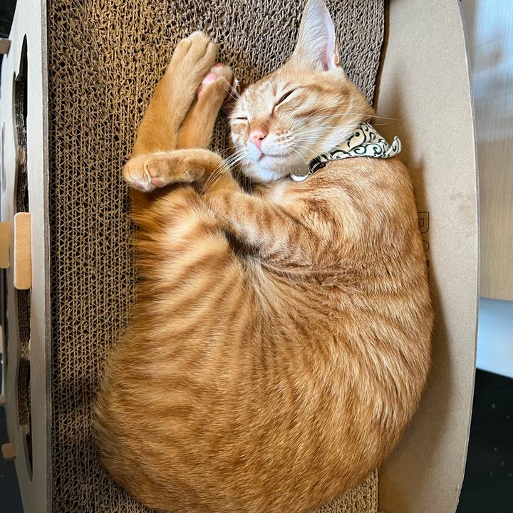 150c25c2 0a94 42aa ab38 c9f7ad33490c 1652140026597