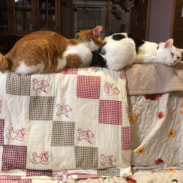 150c4025 b543 4f8d b53c ddd6f1542625 1589377220366