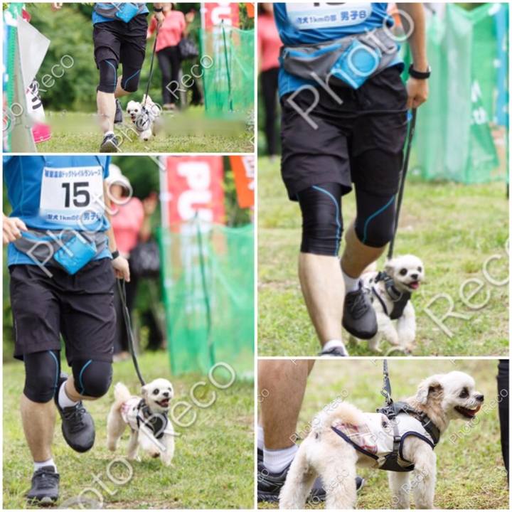 150c56fd 14eb 447e a97f f0154370f257 1561206503784