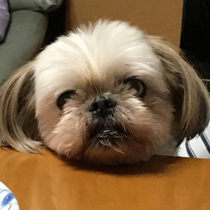 150c5f8d 133a 448c aef3 e8b4a1079b32 1632738933090