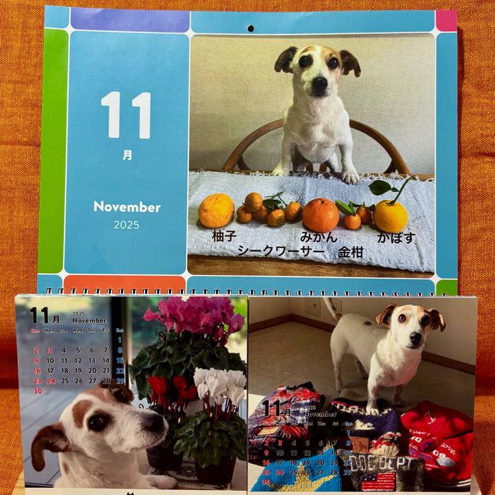 150c7165 2fa9 4cca b7ee 3f7c6aac2f6c 1762428762774