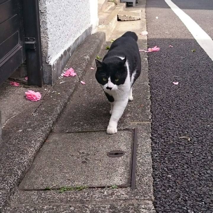 150c9145 c5d8 4801 bbd0 3f9d6951a946 1522024974753