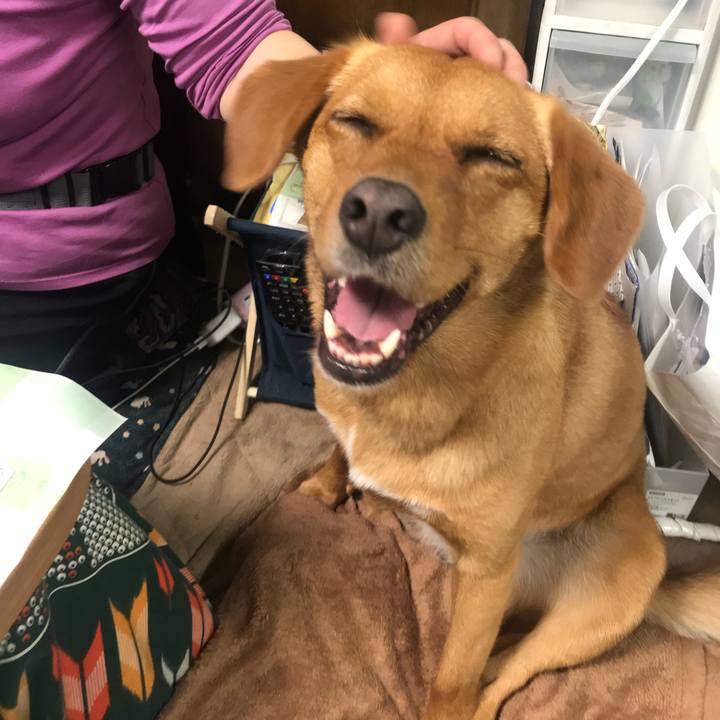 150cc398 9685 4e24 b1b3 c2bd437748b4 1557762126037