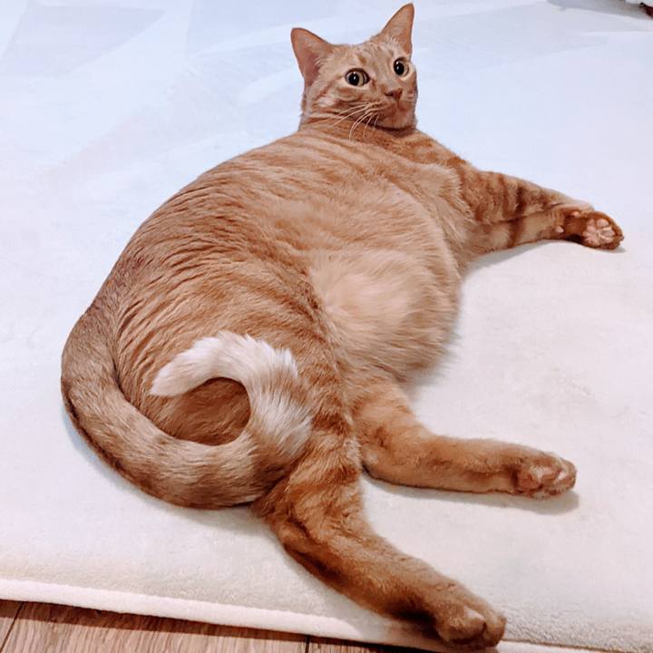 150d05ae b16d 4f57 85ee e463abfc7d75 1649588464391