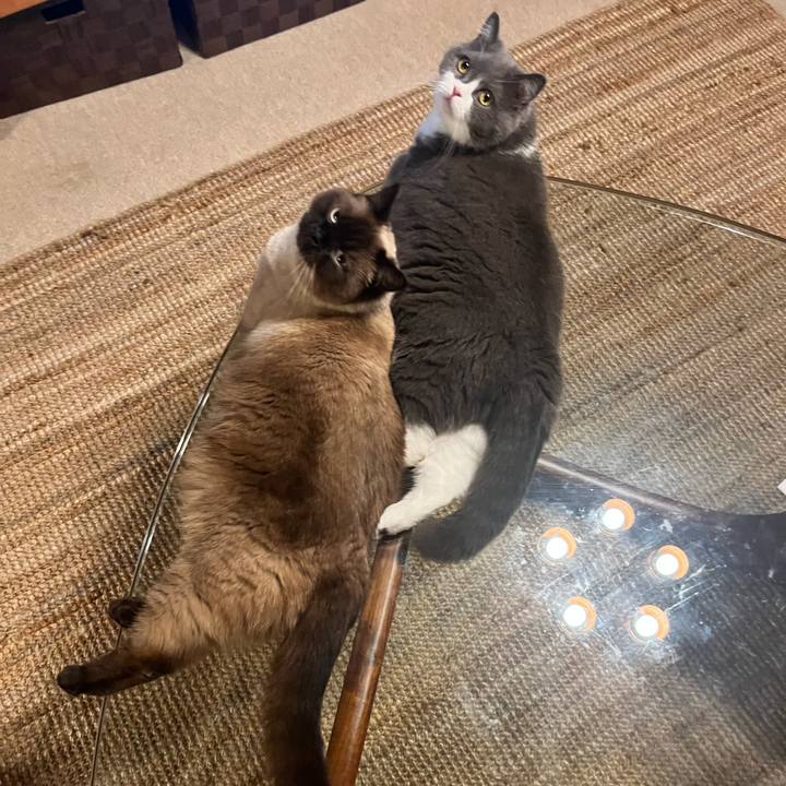 150d071b f59e 46a3 bffa cf0d2afcaa8a 1656069894154