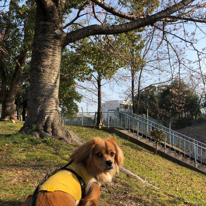 150d4828 9e7c 42b6 ae1d 37700c6caae3 1521938711968