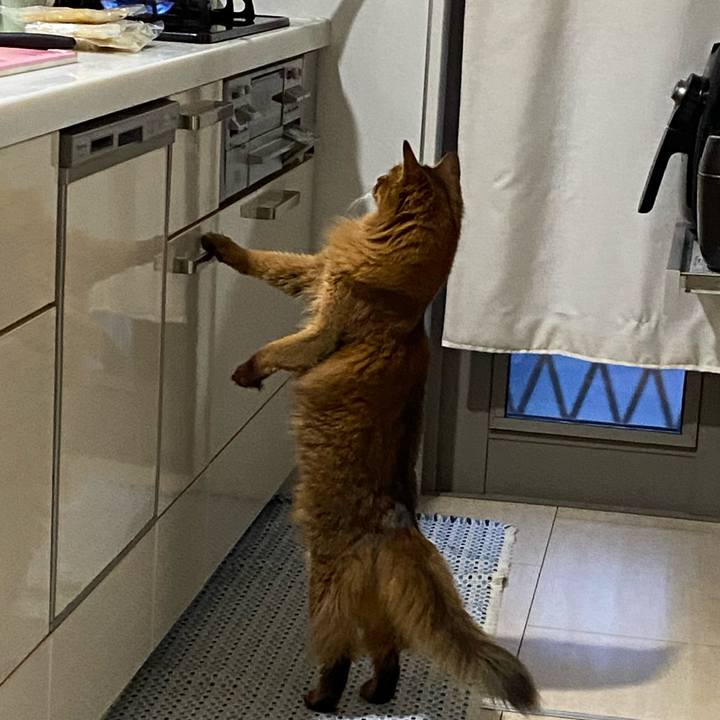 150d8beb ce63 4179 a31c a750bb16c190 1652004220518