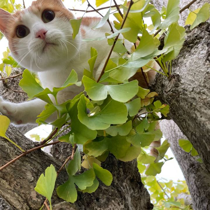 150dabc8 d317 46d0 805b 69045fdc9c8a 1667514997153