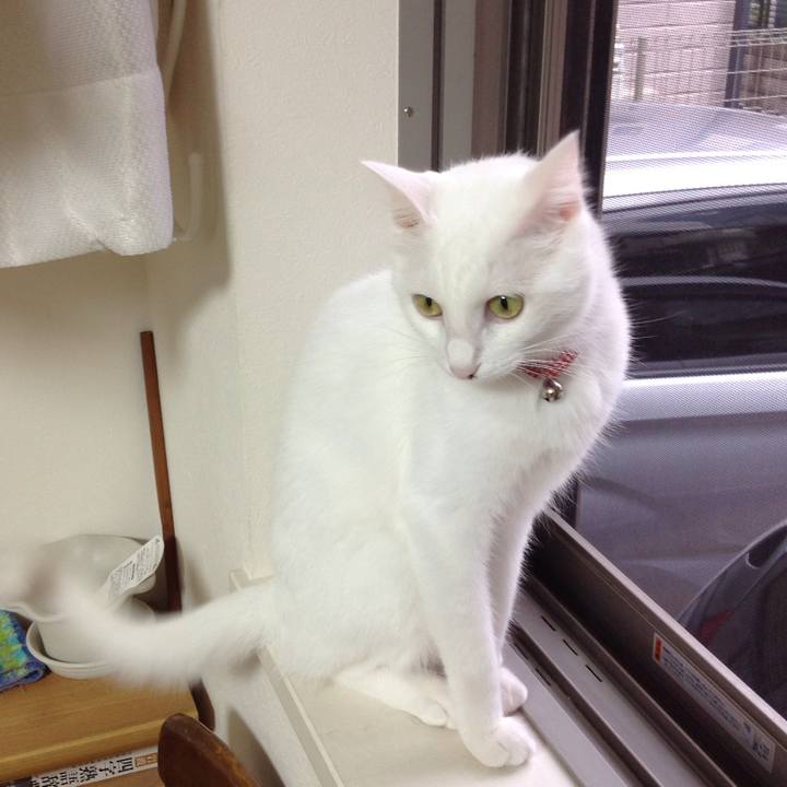 150dbd9c 6b5a 4ee9 b9d7 f9b6954b30fd 1629584576932