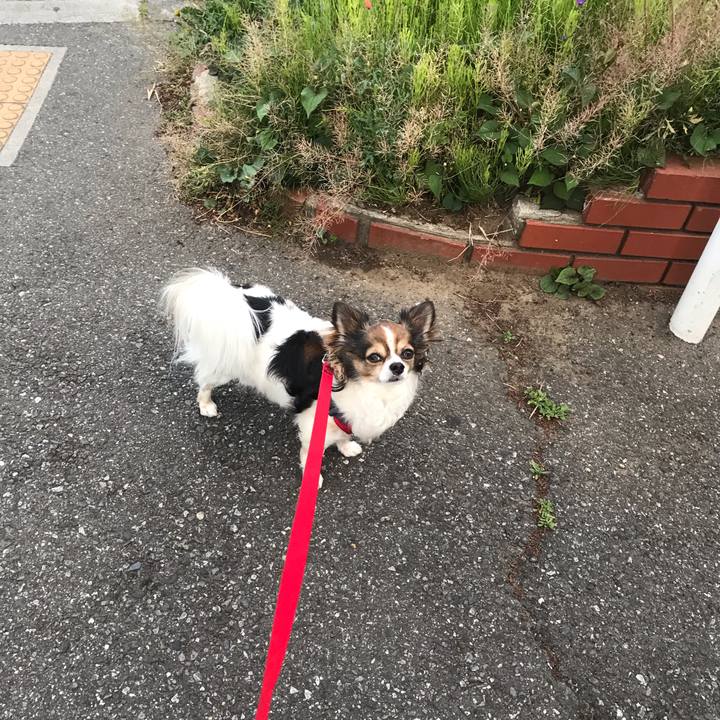 150dc1fe 0bda 4bf8 88cc 6f226ecebcb2 1557913168651