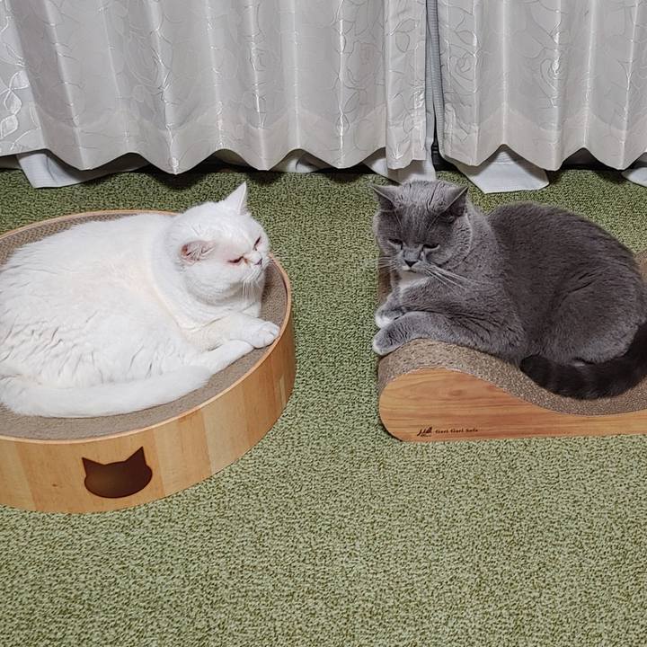 150dc3a4 64ba 40c4 987d dea2d56572cb 1654950136458