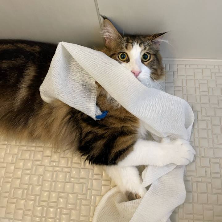 150dd880 733c 4941 8e67 1854f3a086d2 1652477501221