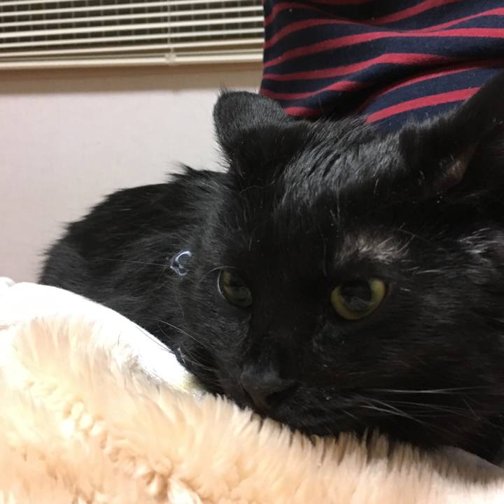 150de5d5 0caf 4d83 895c abe563f94ec9 1550149805226