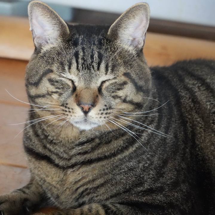 150deead 1c08 4c8c b22c 69786d8ba9e7 1759583451970