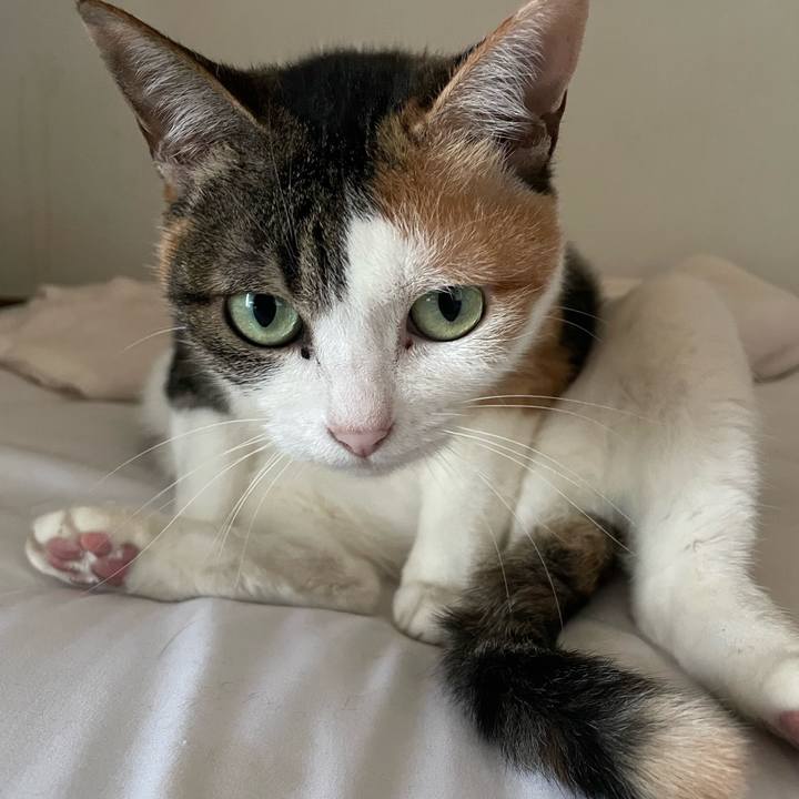 150e1bd3 52e7 4426 8e1b 5289381c9b7e 1685345913209