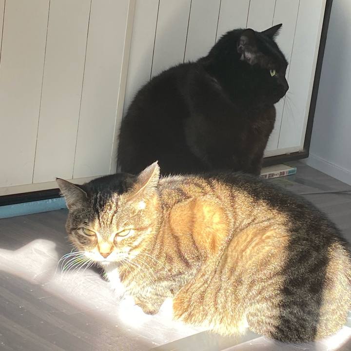 150e24d9 1c74 4cbb 86b6 d277b8b62602 1643589331810