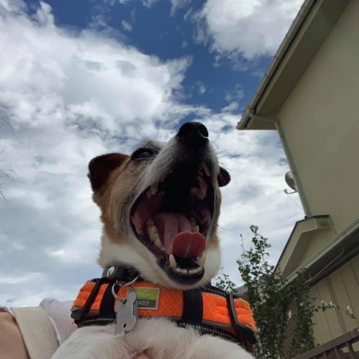 150e441e 3d47 4dc4 bd5d d49fafcf348e 1692673485053