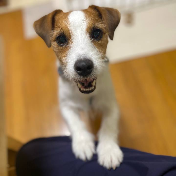 150e56be 26bd 4347 9456 998e79d98e73 1752757102164