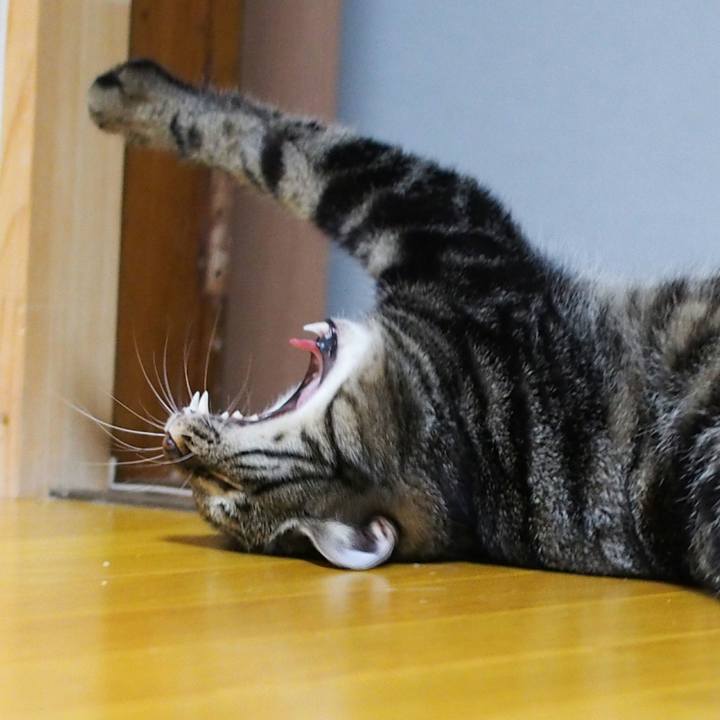 150e6e9d e9c2 4dba b952 2327d9a36665 1536411454209