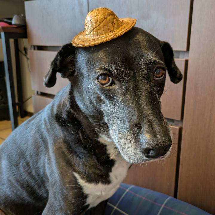 150e8f94 47d3 457e 9496 0f7e019240a5 1753669829482