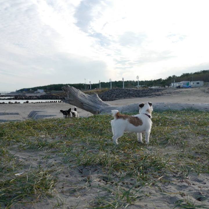 150ed952 c0c7 4bec bed4 66f865d86dfc 1508212830540