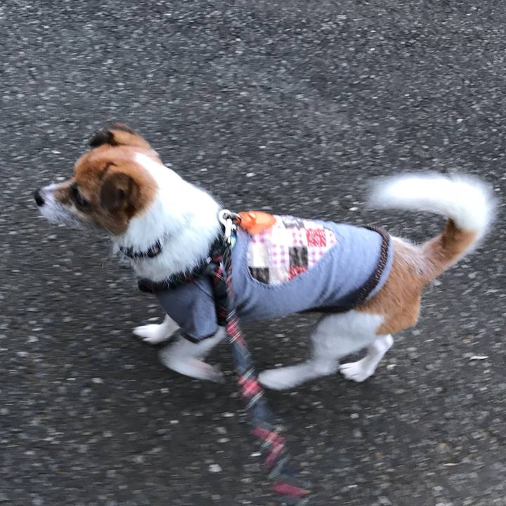 150f396a 220d 4011 84fe d545a20afea5 1539904791432