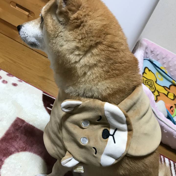 150f484c b0ca 42ff a139 eaaea98c9de0 1510982112344