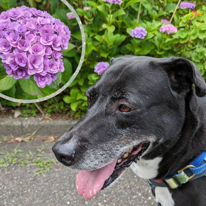 150f7c07 f70e 4181 81c9 b2a04c35b158 1718239405699