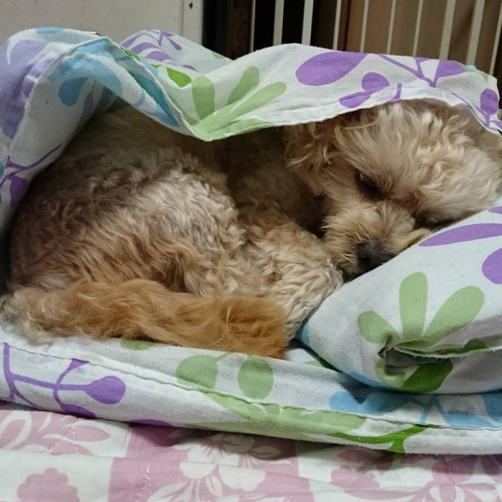 150fa3d6 9022 491a 8153 eb13bc2199bb 1570363324826