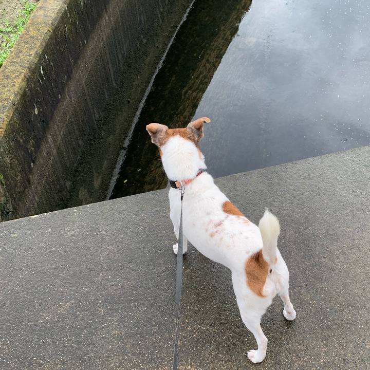 150feef8 ef05 48ae 88ed 0eec958fed8c 1594379796552